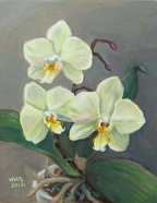 OrkideGul