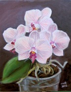 OrkideLila